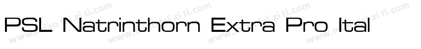 PSL Natrinthorn Extra Pro Italic字体转换